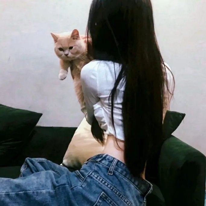 狗狗的疯狂假期