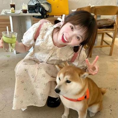 完美的谋杀