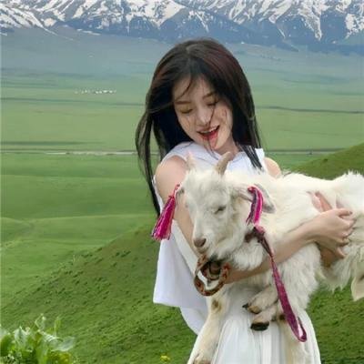 甜蜜的事业